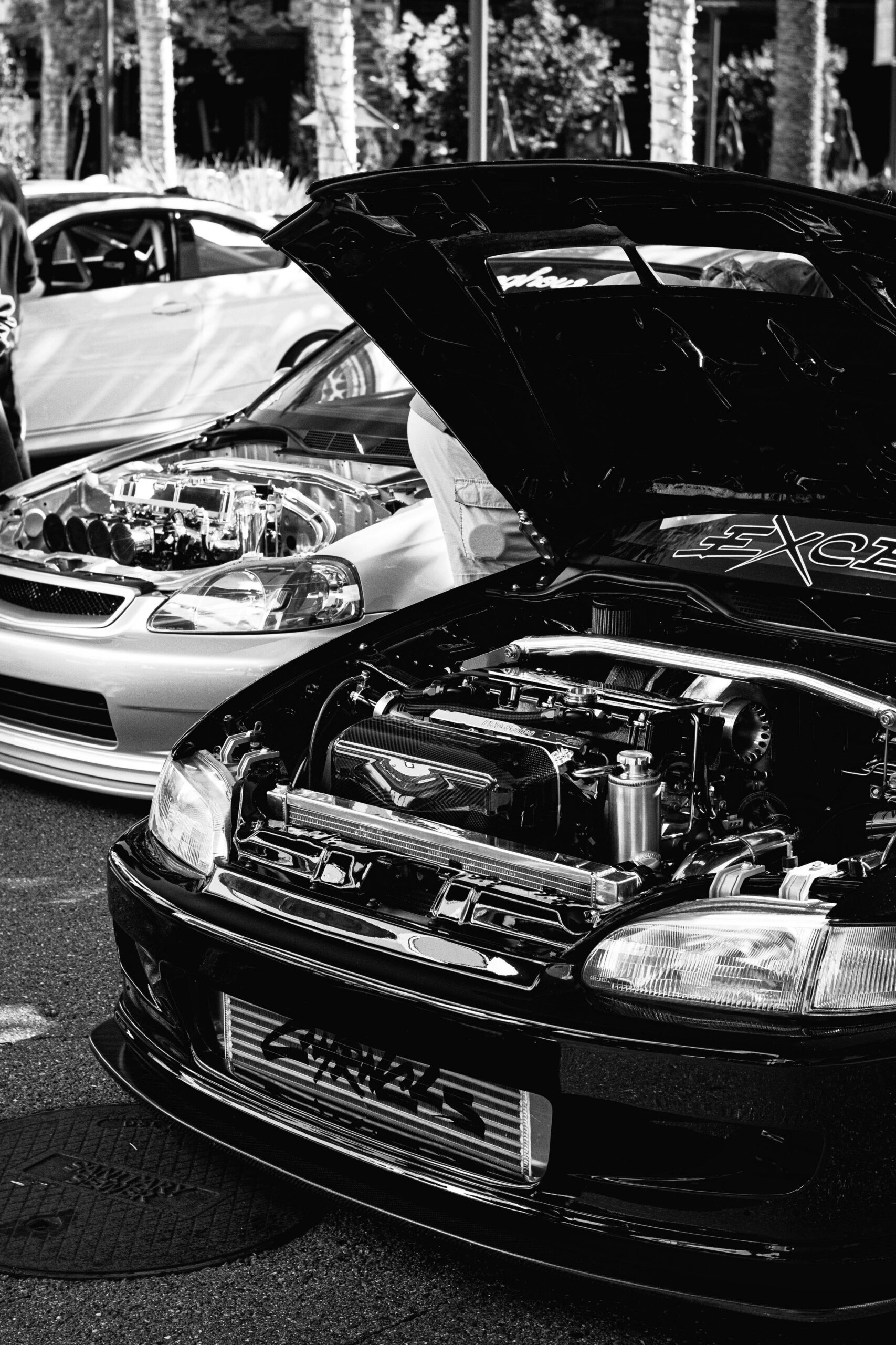 madeline-liu-bMlCEPPo5Zg-unsplash